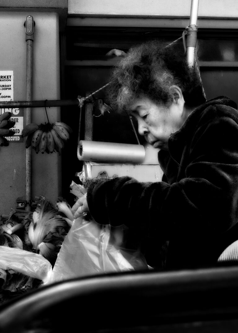 Photo by David Rockwood