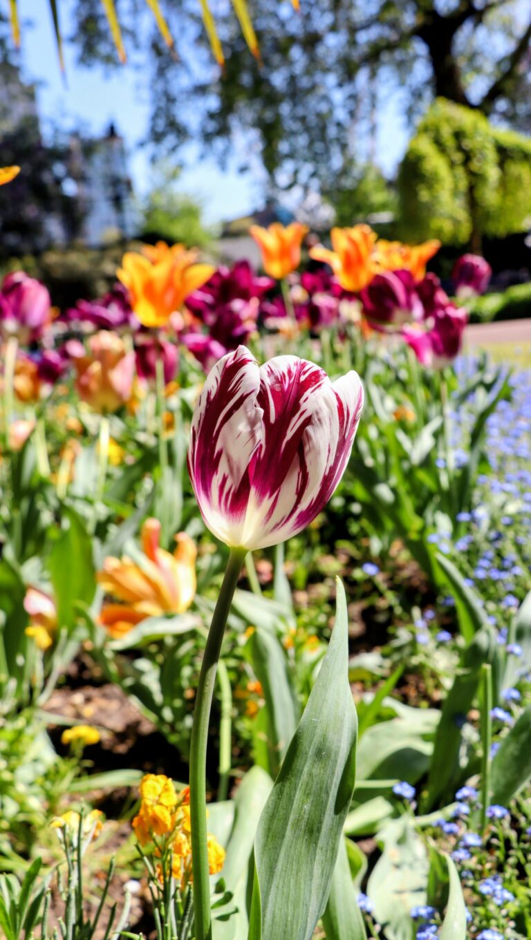 Photo by Antony March