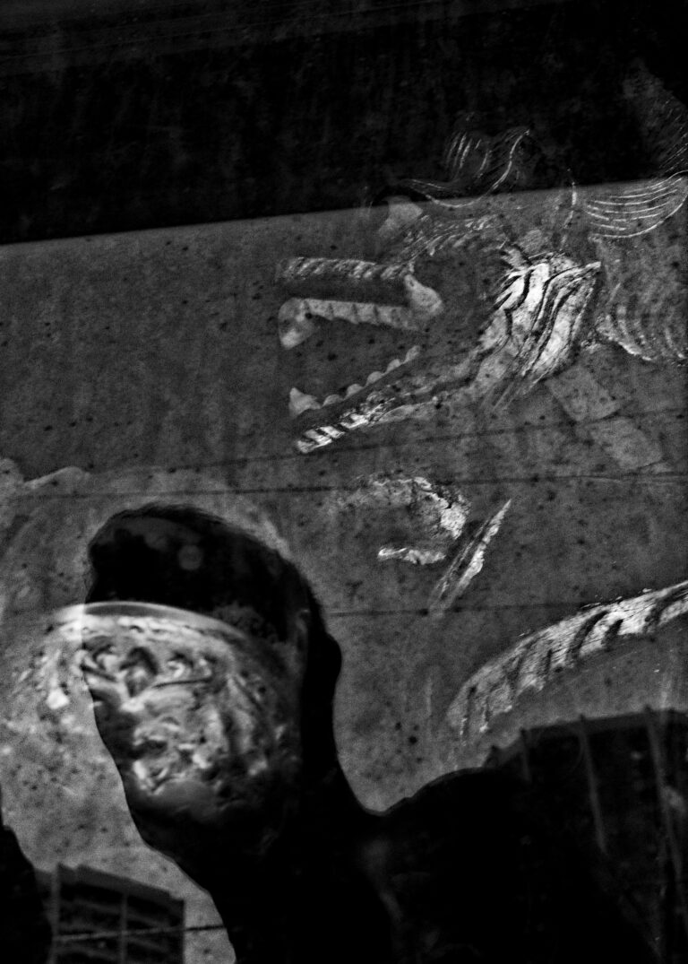 Photo by David Rockwood