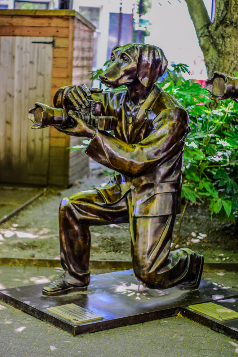 Photo by dekku bow Photos