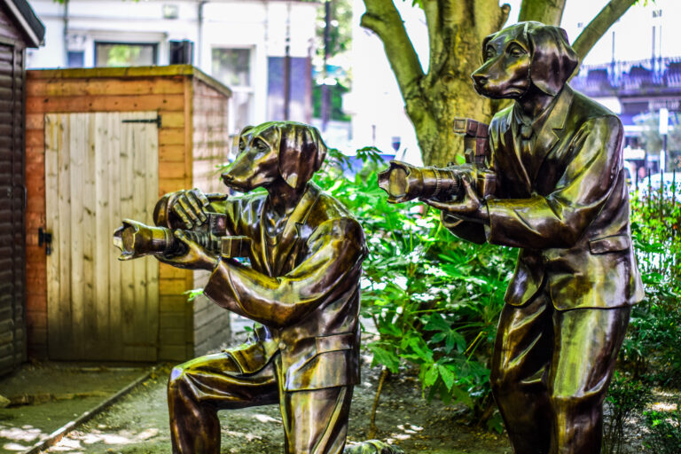 Photo by dekku bow Photos