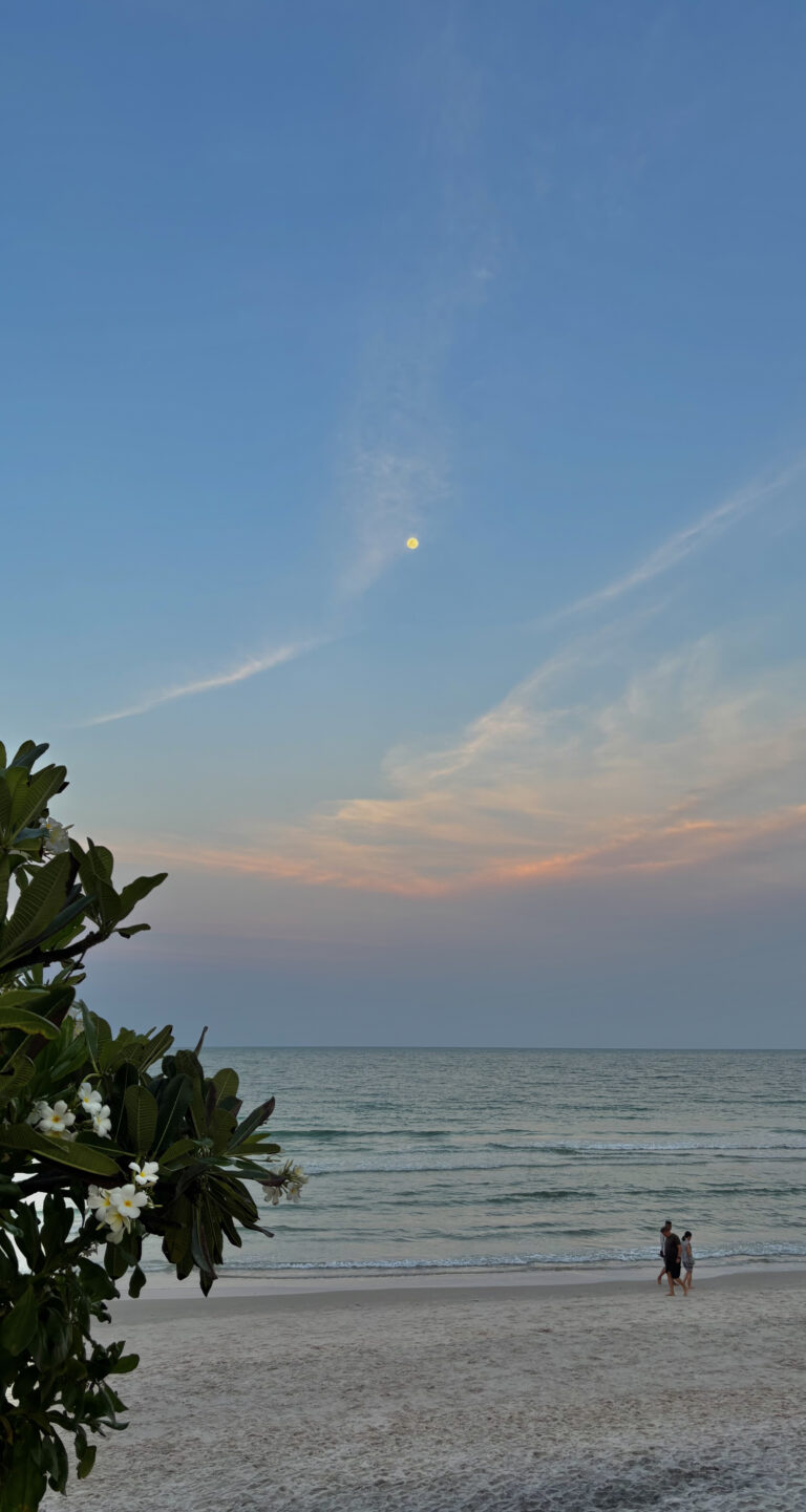 Photo by pam pam