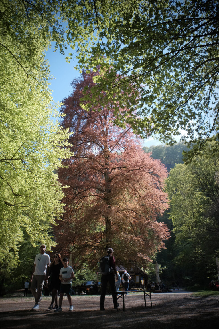 Photo by Jef 📷🍀