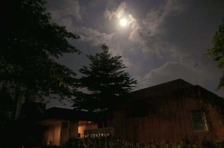 Photo by Tanvi :).