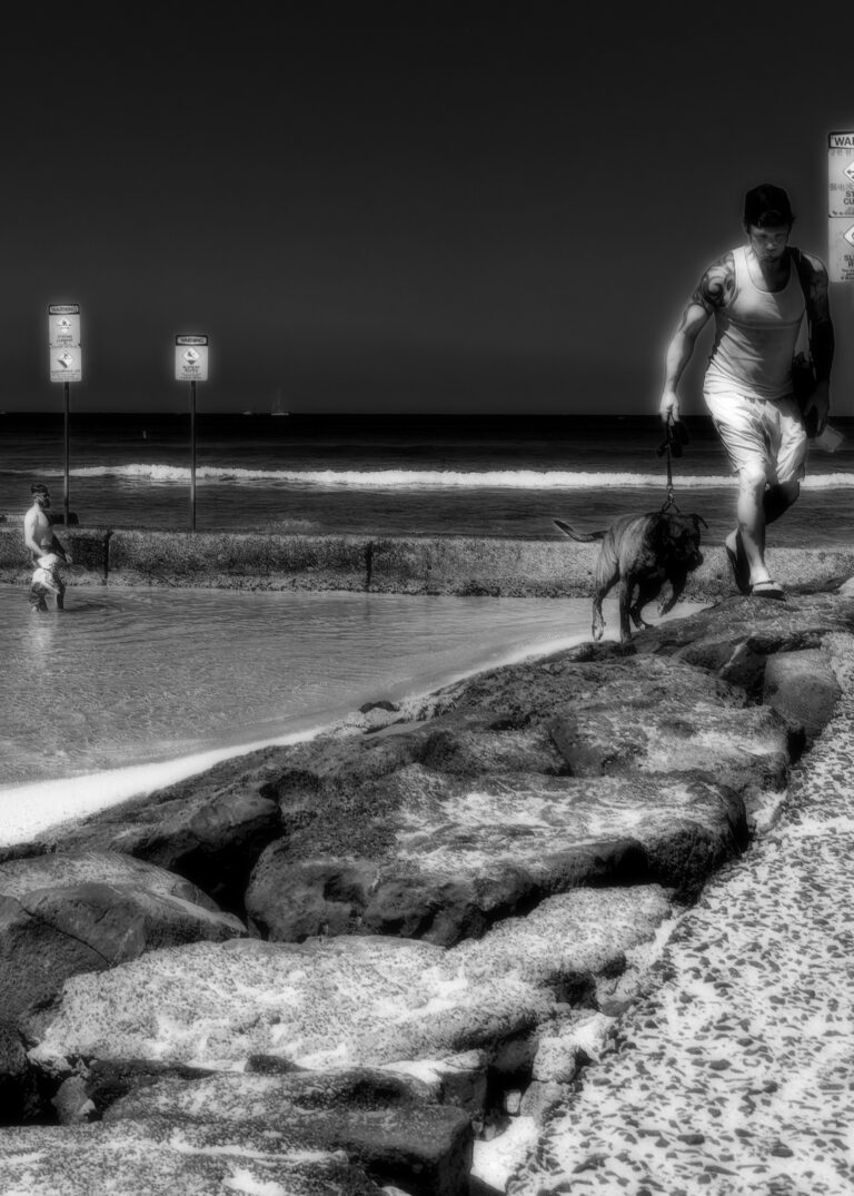 Photo by David Rockwood