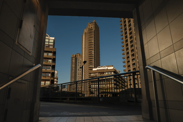 Photo by Niko Alde