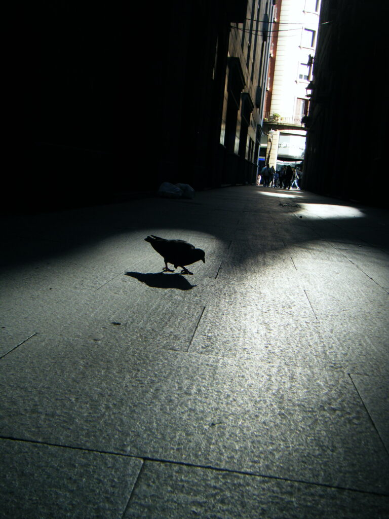 Photo by Arvid Bergdahl