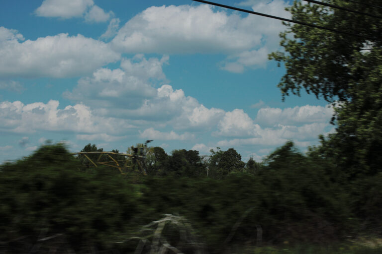 Photo by Will Hotton