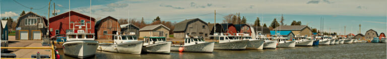 Photo by James Poyner