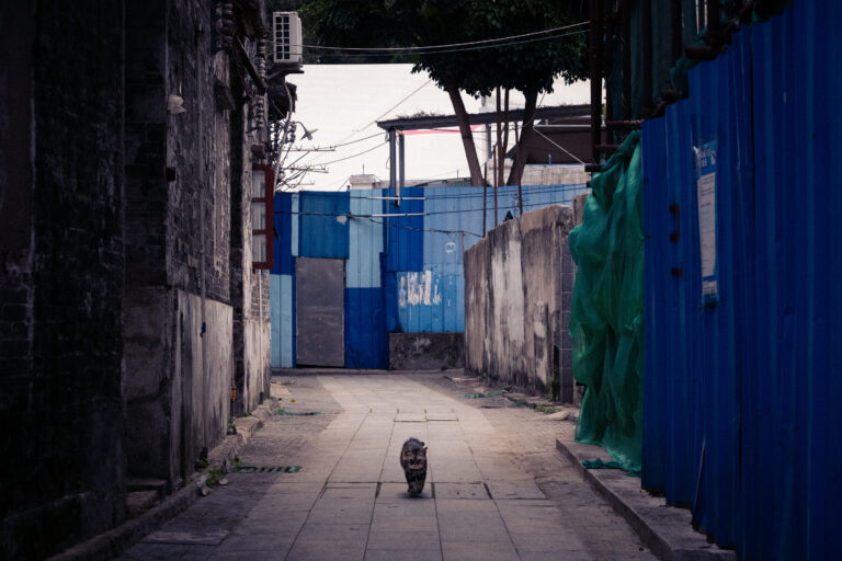 Photo by Alex 艾老师