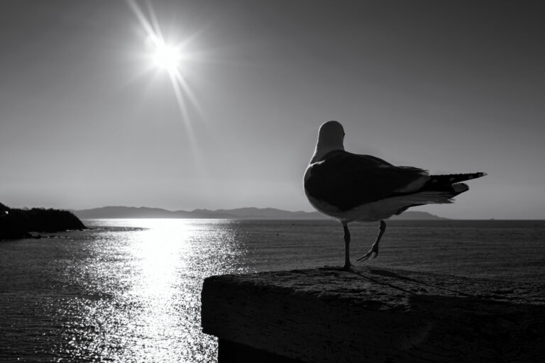 Photo by Thomas Bassetti