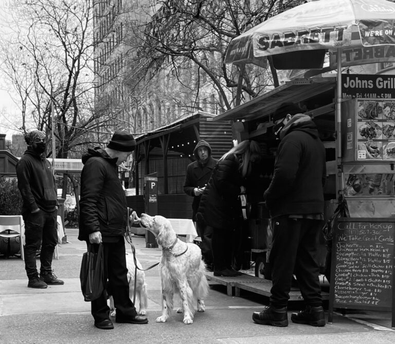 Photo by Amila Balic