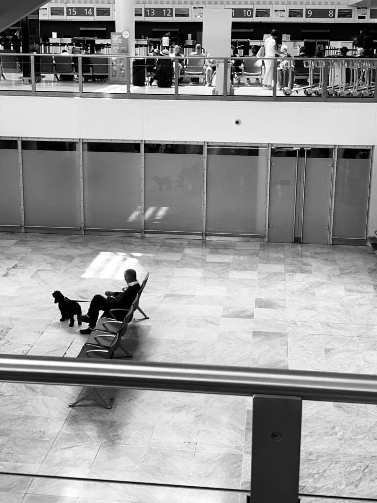 Photo by Pascal Hoerner
