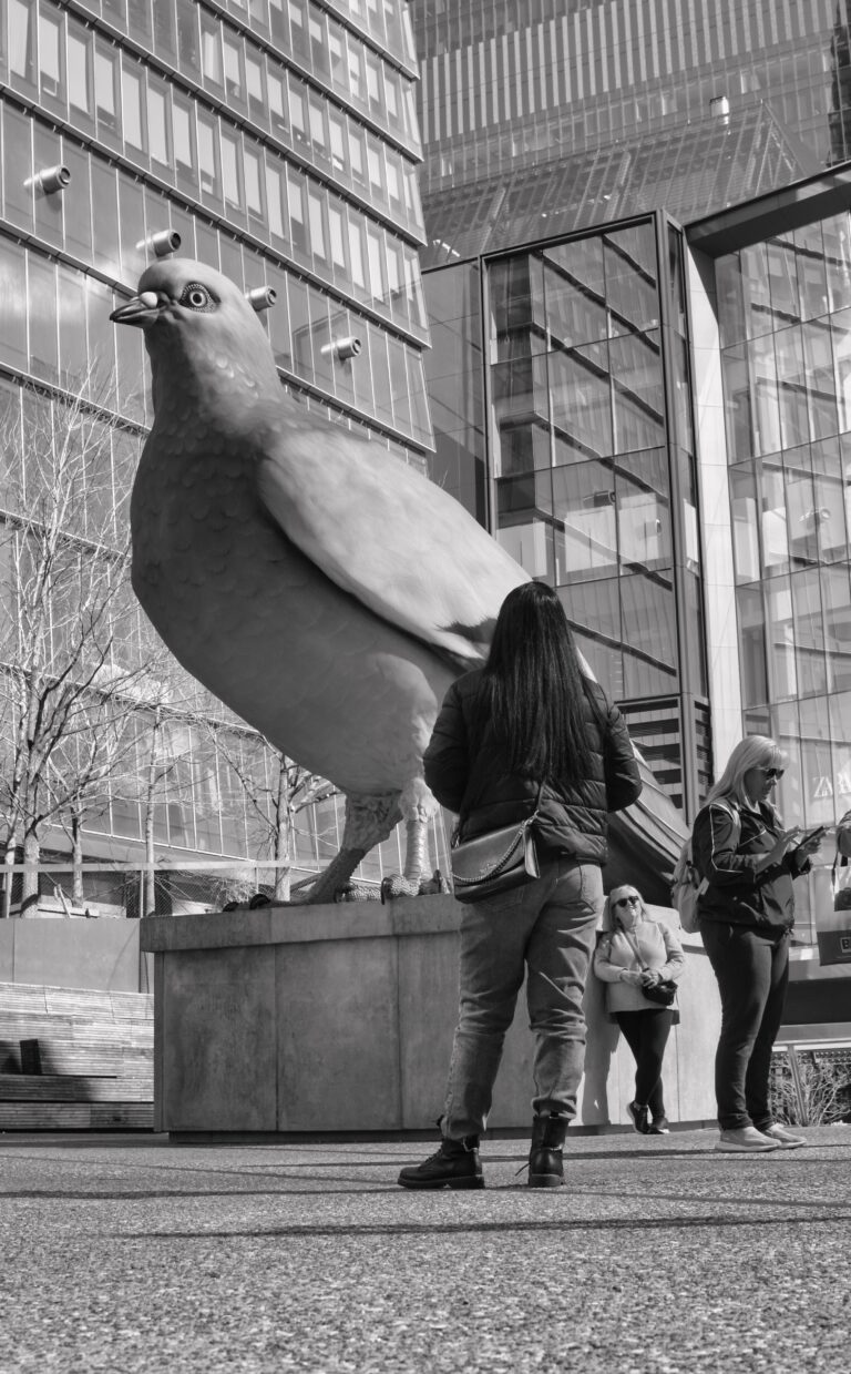 Photo by Dre Beverley