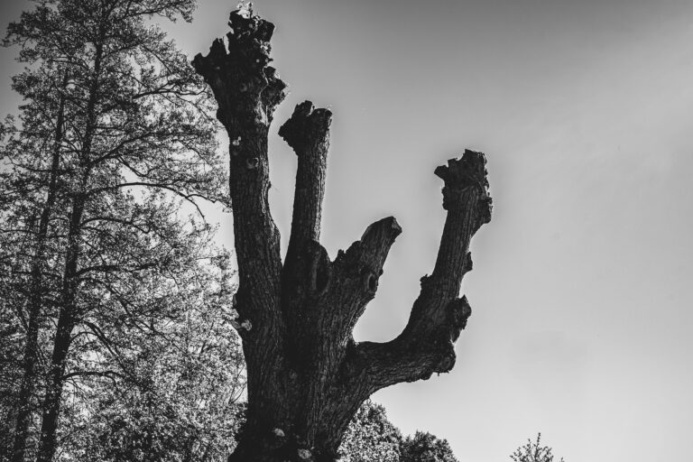Photo by Markus Becker
