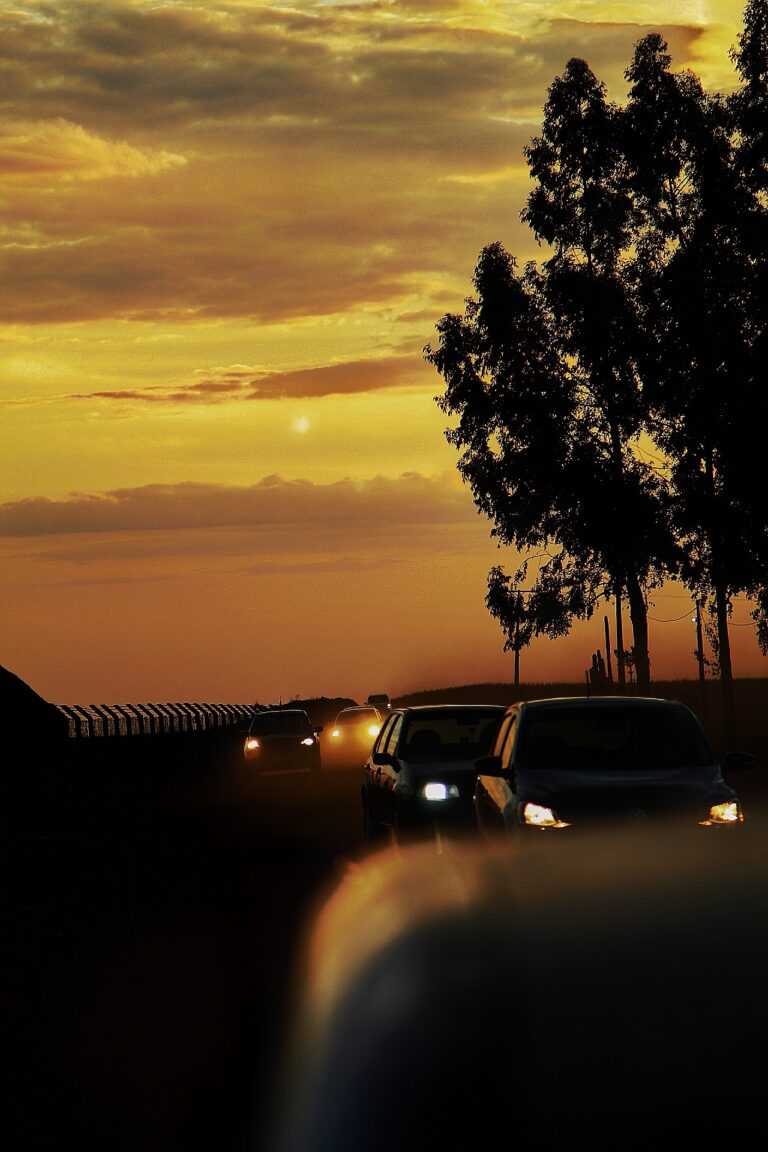 Photo by Wellington Cunha
