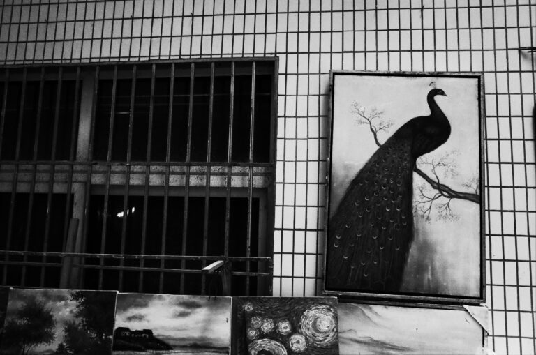 Photo by Tiago Dias