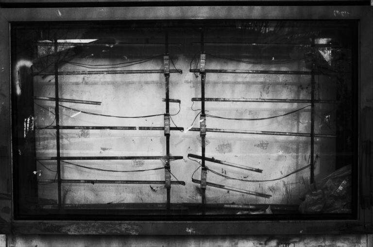 Photo by Tiago Dias