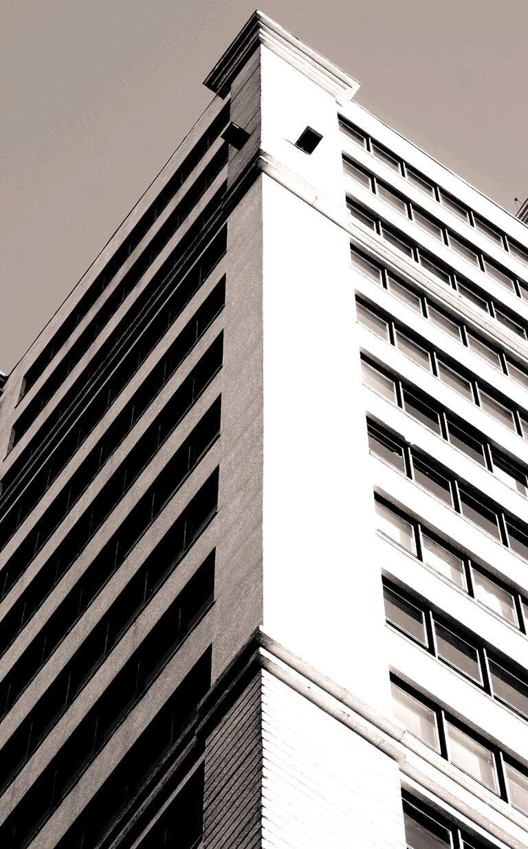 Photo by Wellington Cunha