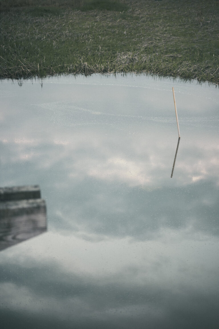 Photo by Devaunie Dacres
