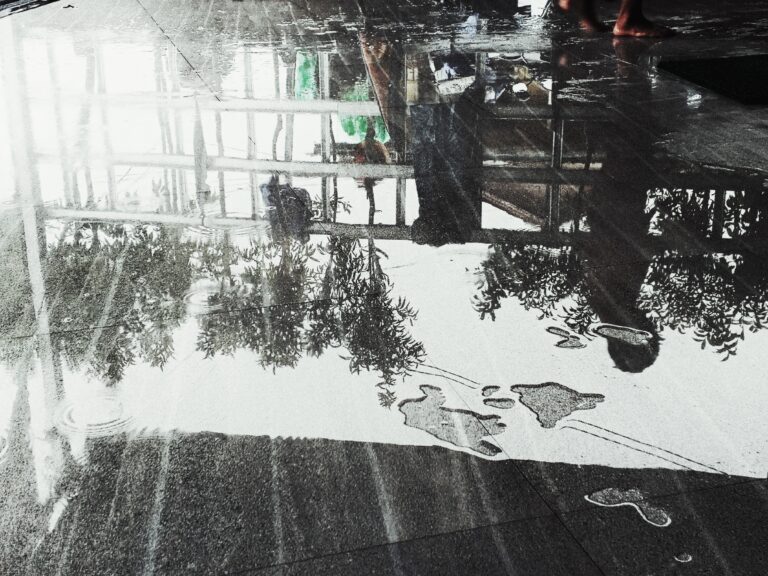 Photo by Fariz Azka Riyandi