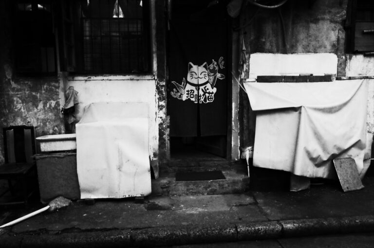 Photo by Tiago Dias
