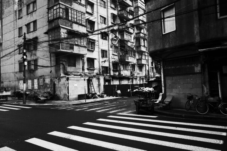 Photo by Tiago Dias