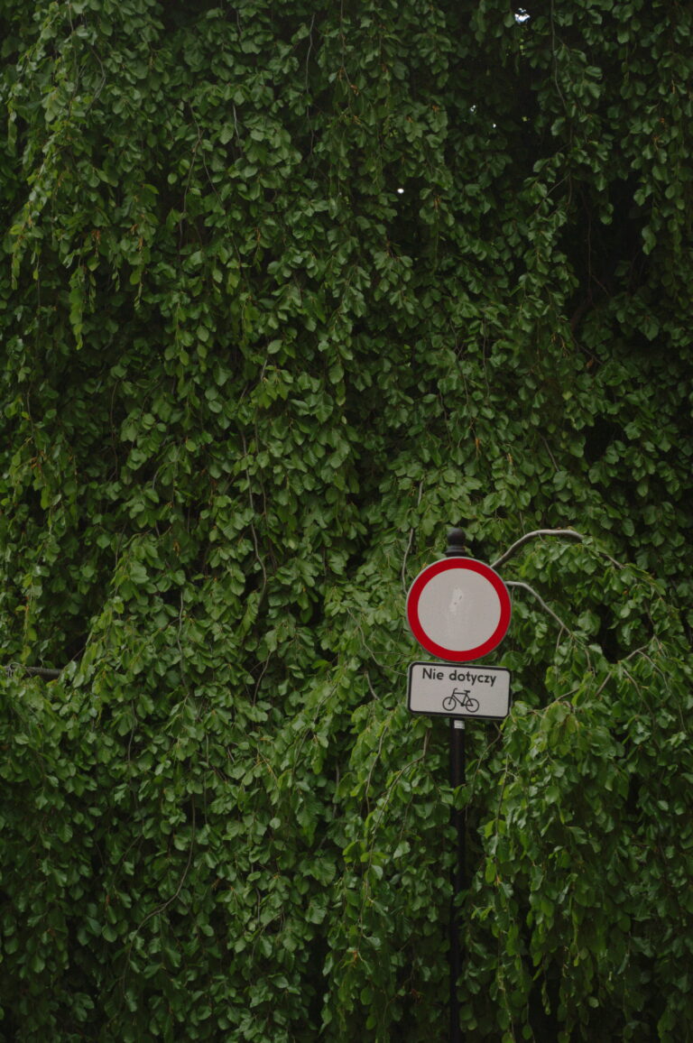 Photo by Máté Léber