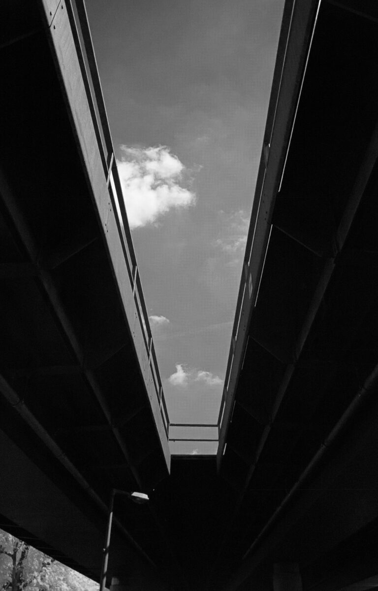 Photo by Ricardo Garcia