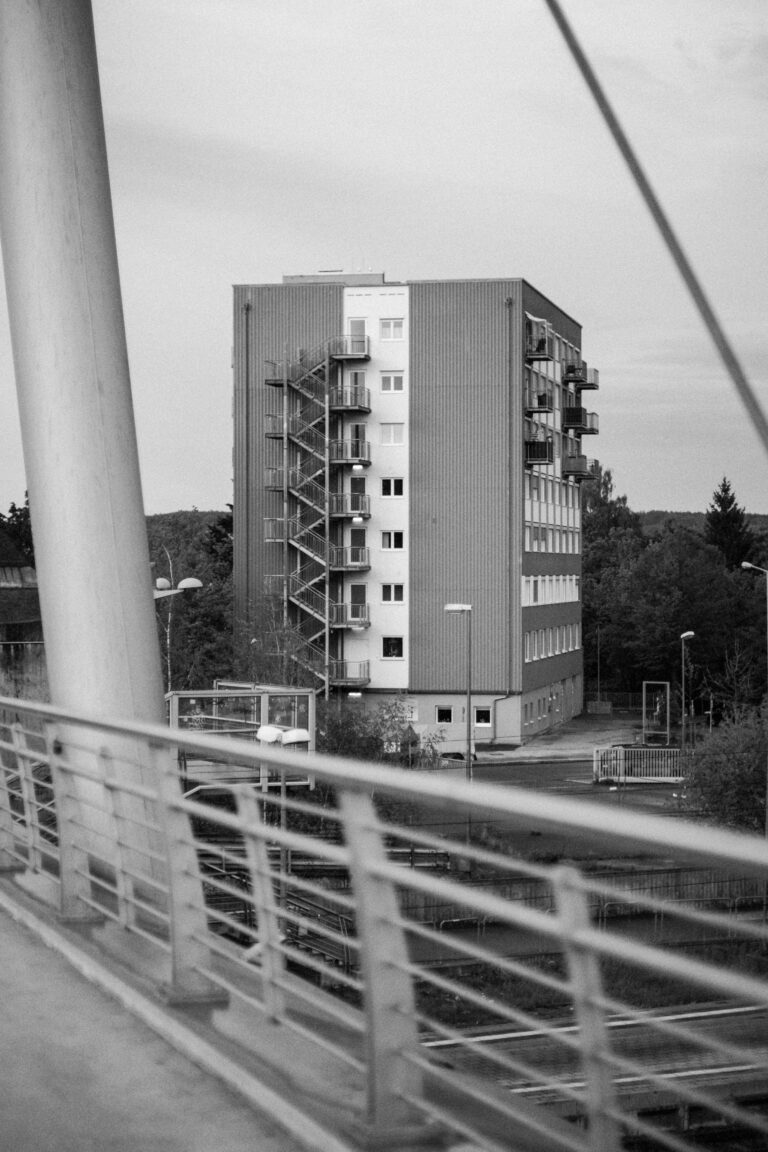 Photo by Frank Mertel