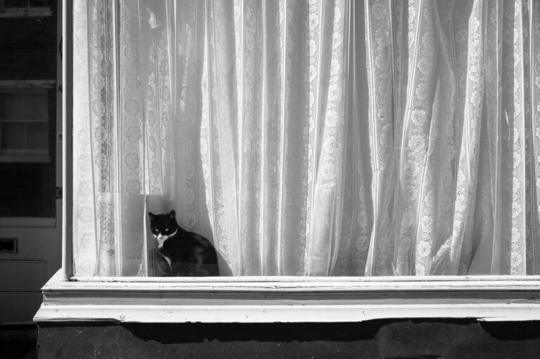 Photo by Julian Heritage