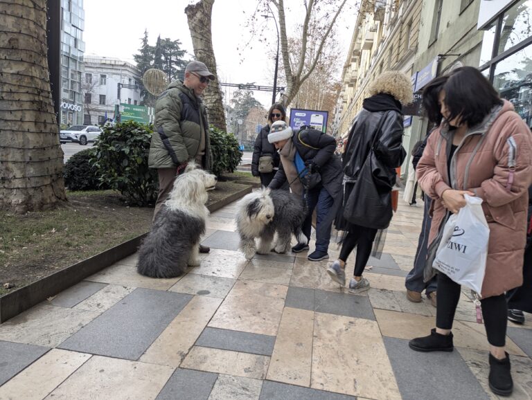 Photo by Luka Chonkadze