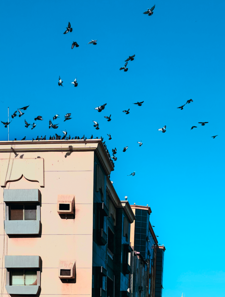 Photo by Juanderer Sgr