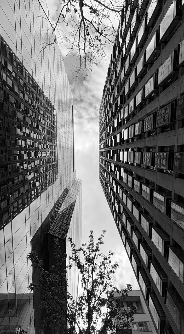 Photo by Franck Toto