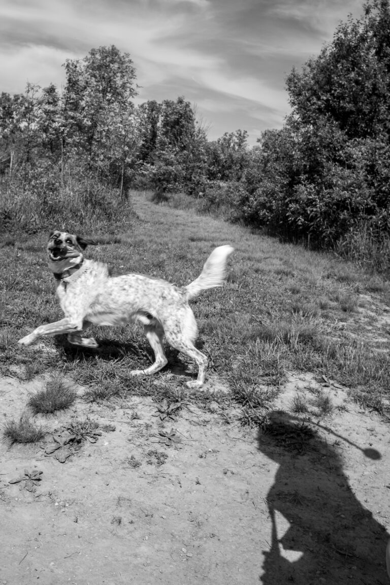 Photo by Bert Tevel