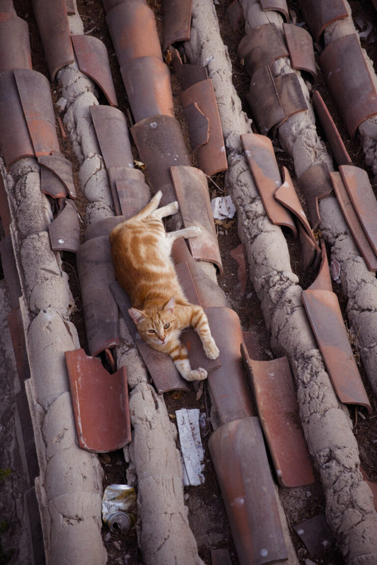 Photo by Pascal Hoerner