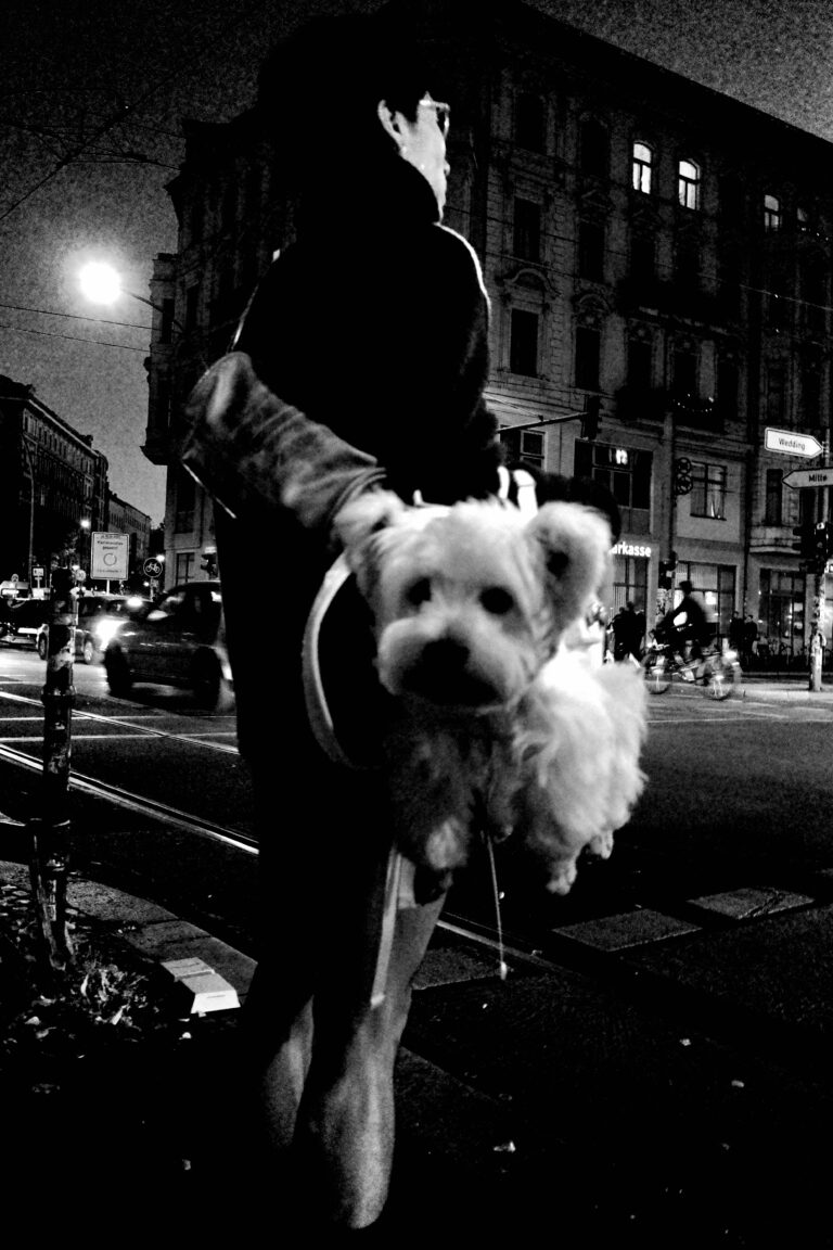 Photo by ozy ozon