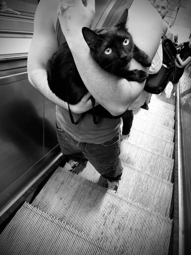 Photo by Imre Bondar
