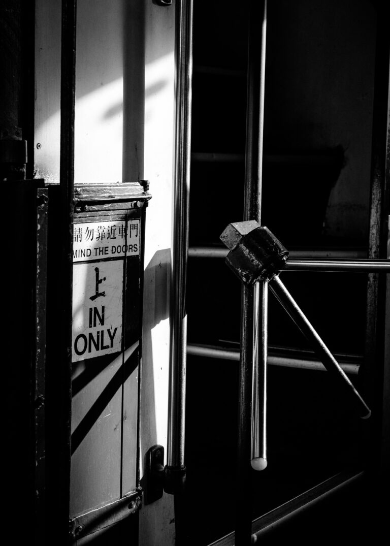 Photo by Stephen Lee