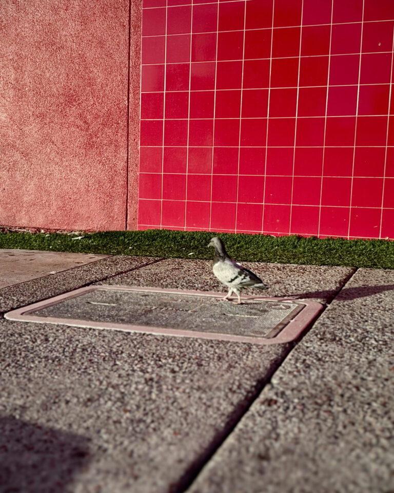 Photo by Aron Finn