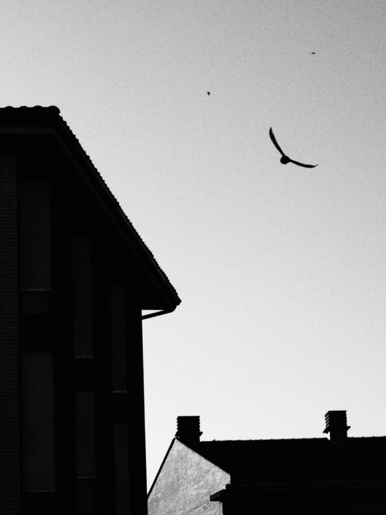 Photo by Lev Lev