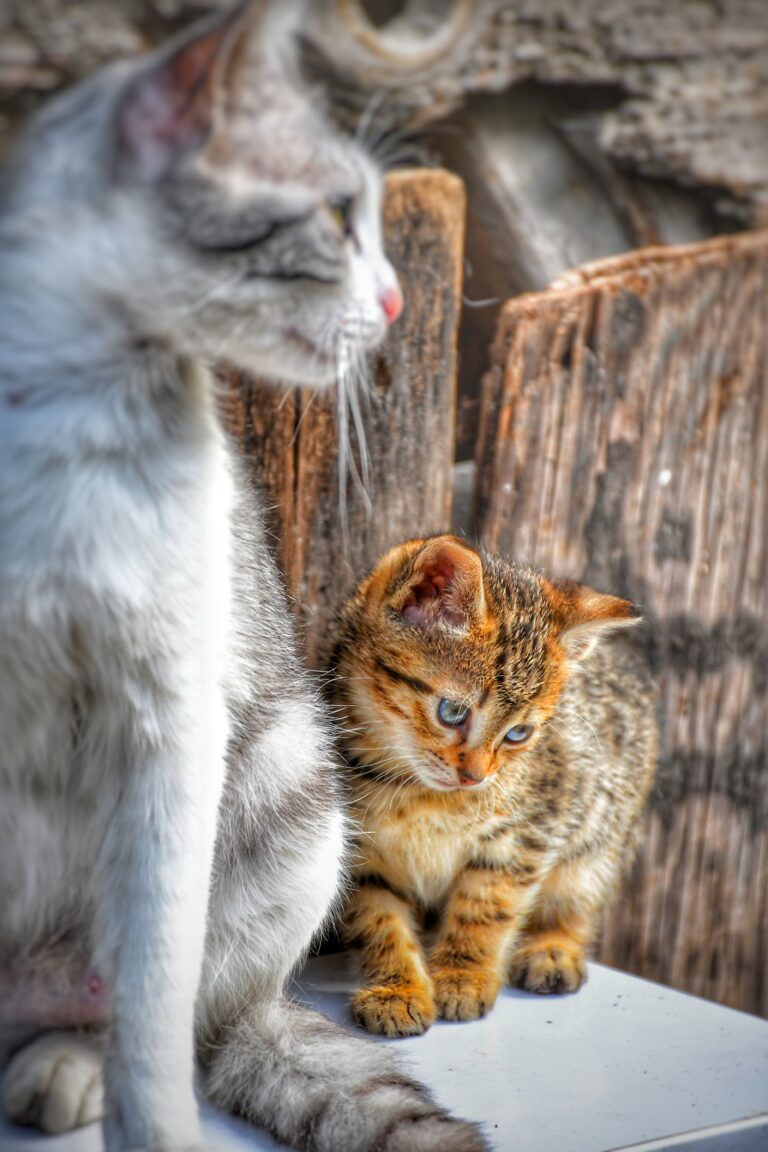 Photo by Semih Durmaz