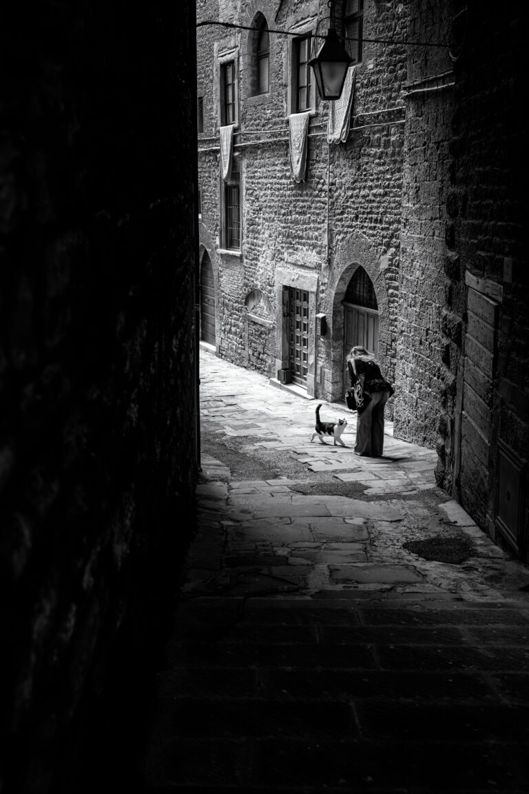 Photo by Thomas Bassetti