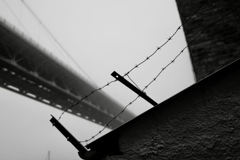Photo by David George
