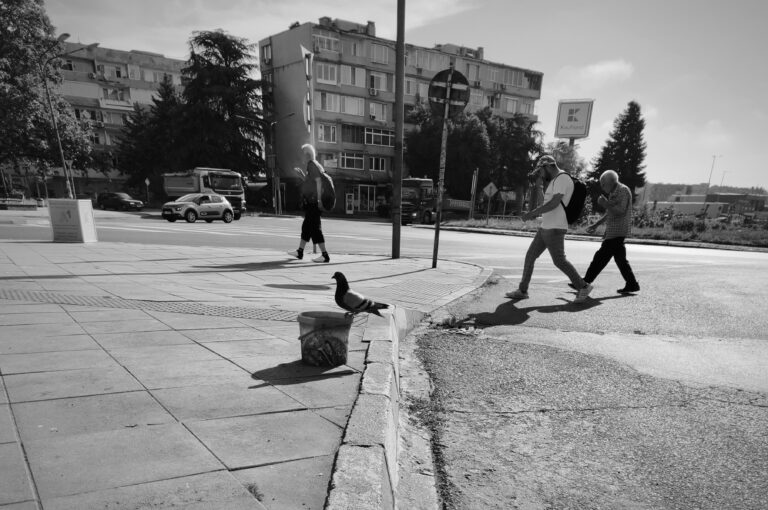 Photo by Aycha Feyzula