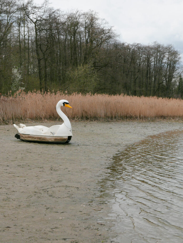 Photo by Florian Schoppe