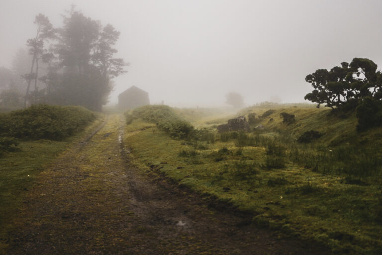 Photo by David George