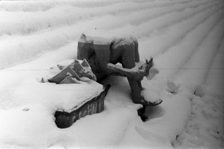 Photo by Márton Galkó