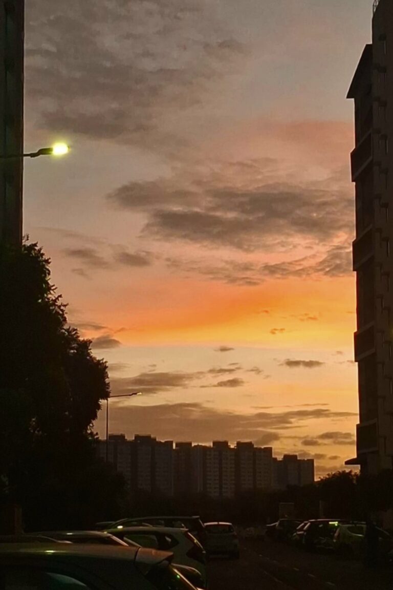 Photo by Tanvi :).