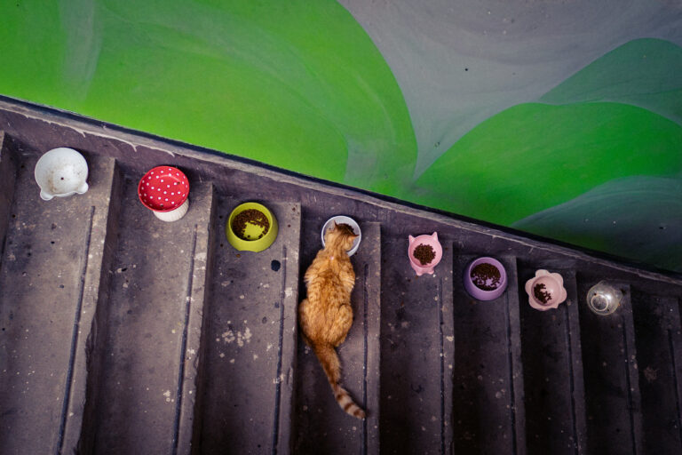 Photo by Alex 艾老师